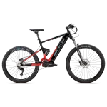 Bottecchia BE35 Evo Elektron - immagine 3
