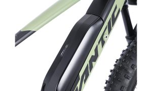 mtb elettrica