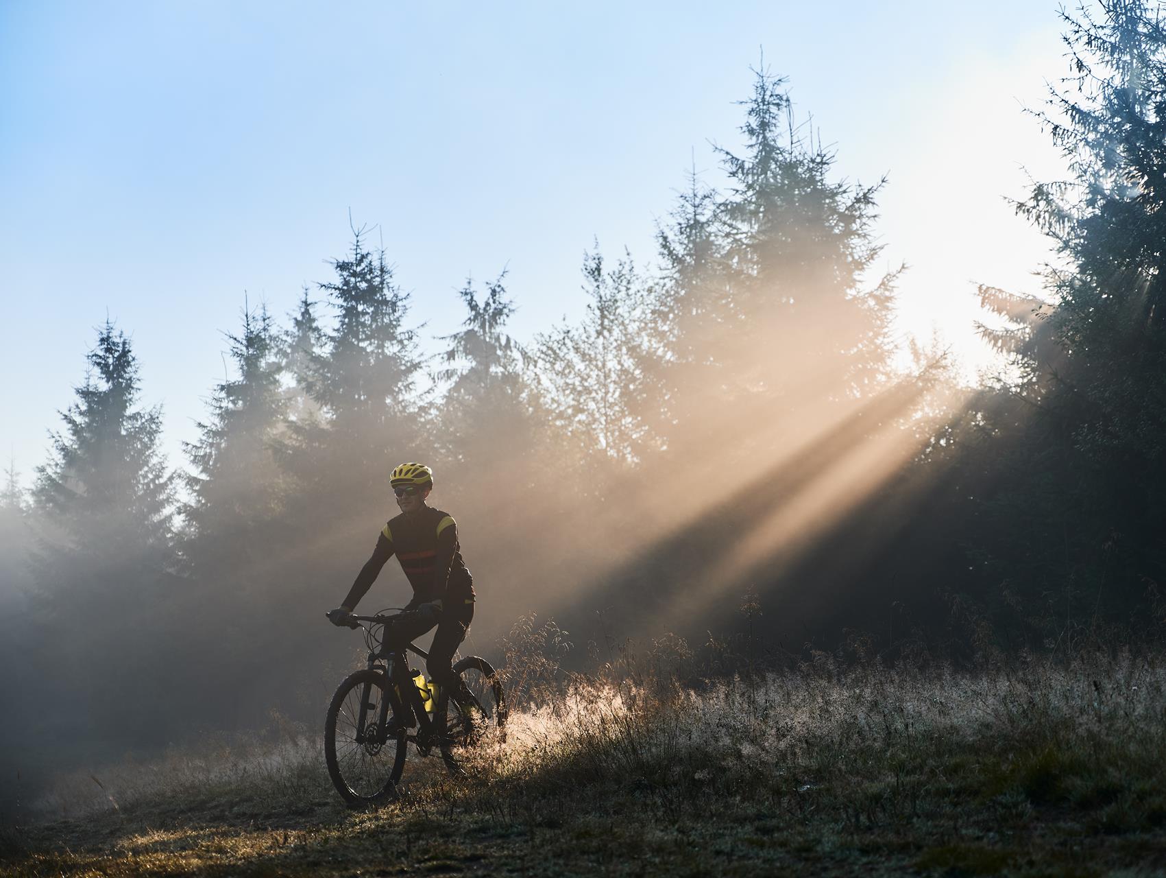 Gravel bike
