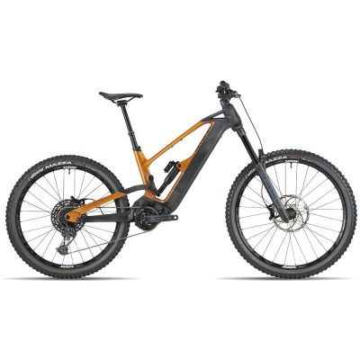 bicycle sales,electric bike sales