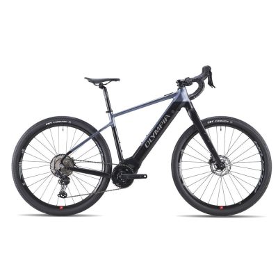 bicycle sales,electric bike sales