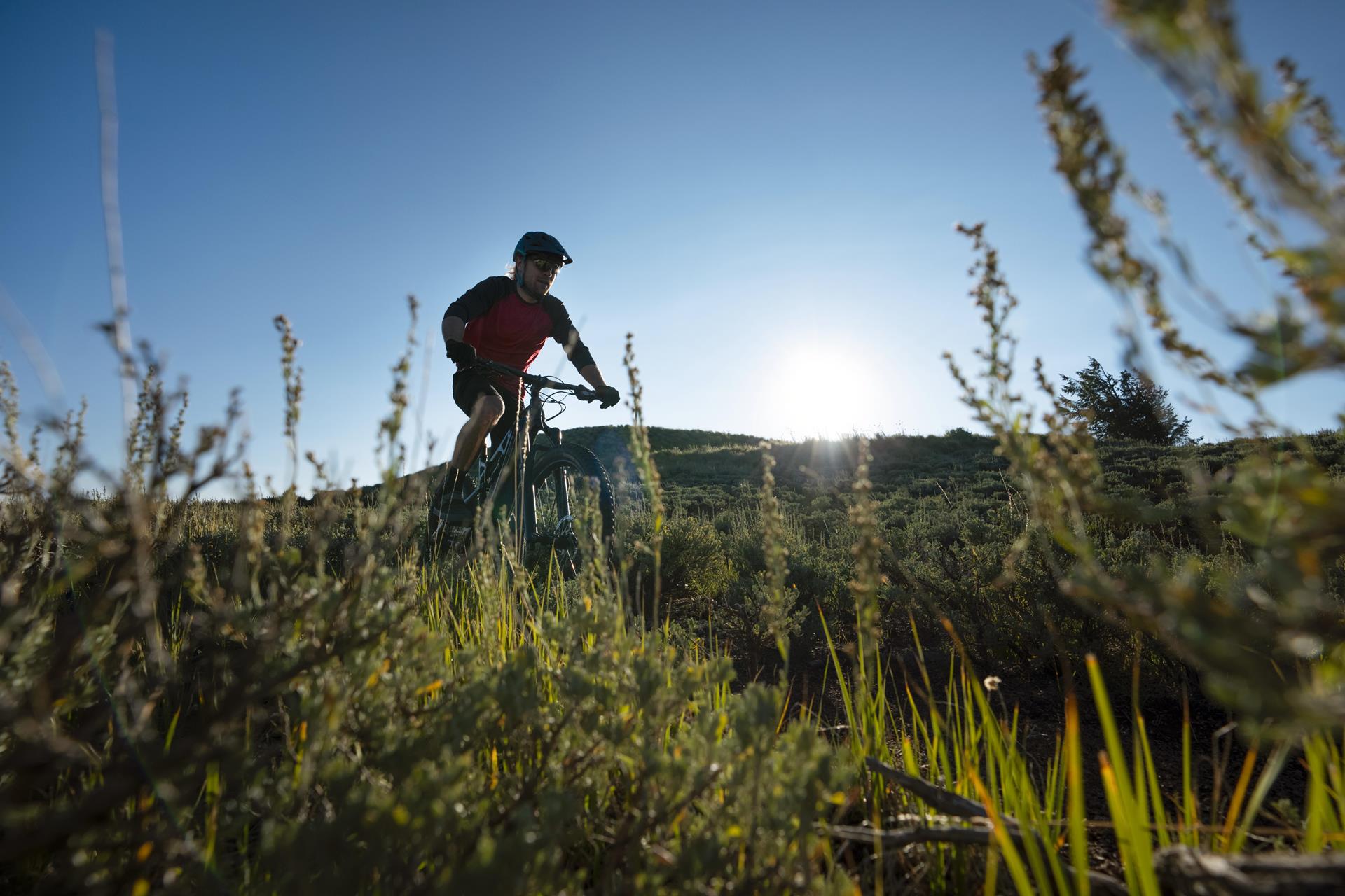 Mountain bike