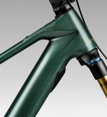 Orbea Wild M-LTD Carbonio 2026 5 Orbea Wild M-LTD Carbonio 2026