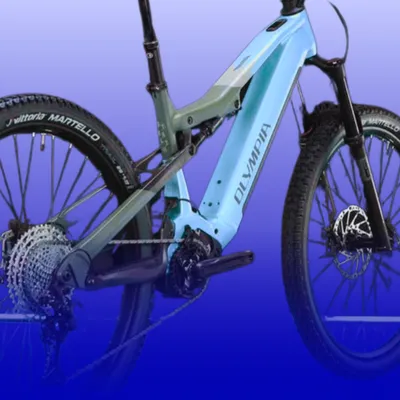 Biciclette Elettriche