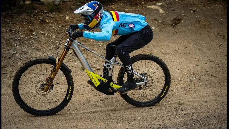 orbea rallon downhill DH