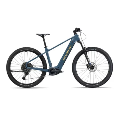 Olympia Isos mountain bike with Bosch engine sold by La Biciclettaria